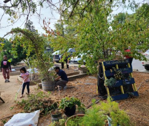 School Garden Clean Up