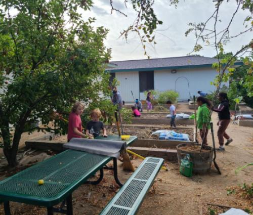 School Garden Clean Up