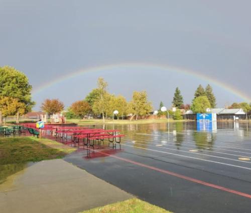 A Beautiful Sight on Campus
