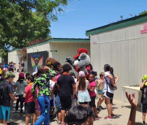 Dinger is Here!