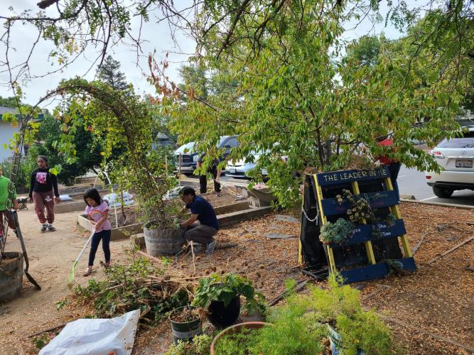 School Garden Clean Up