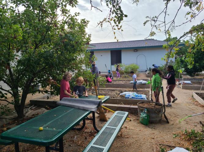 School Garden Clean Up