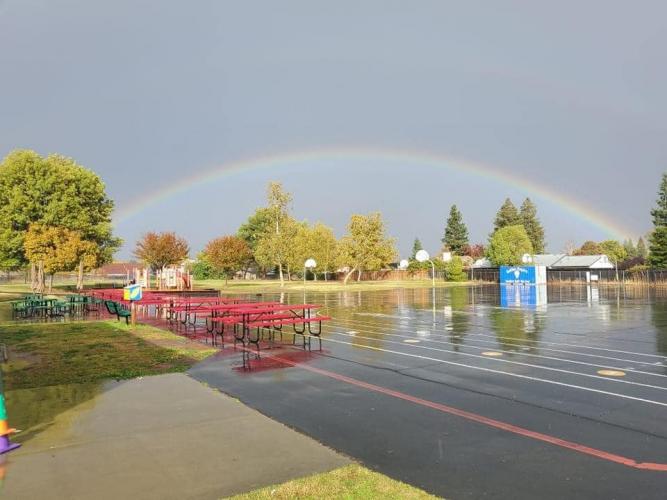 A Beautiful Sight on Campus